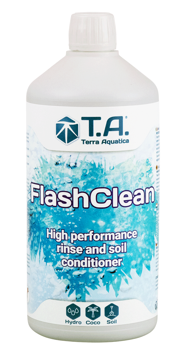 flash clean t.a