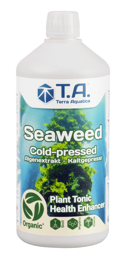 Terra Aquatica – Seaweed