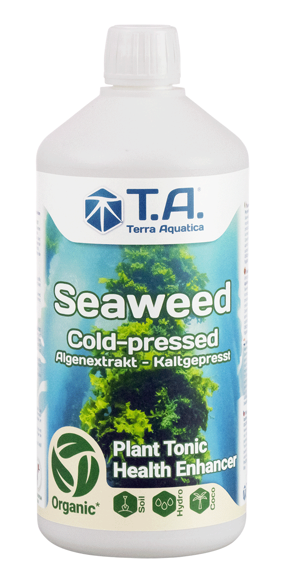 seaweed t.a