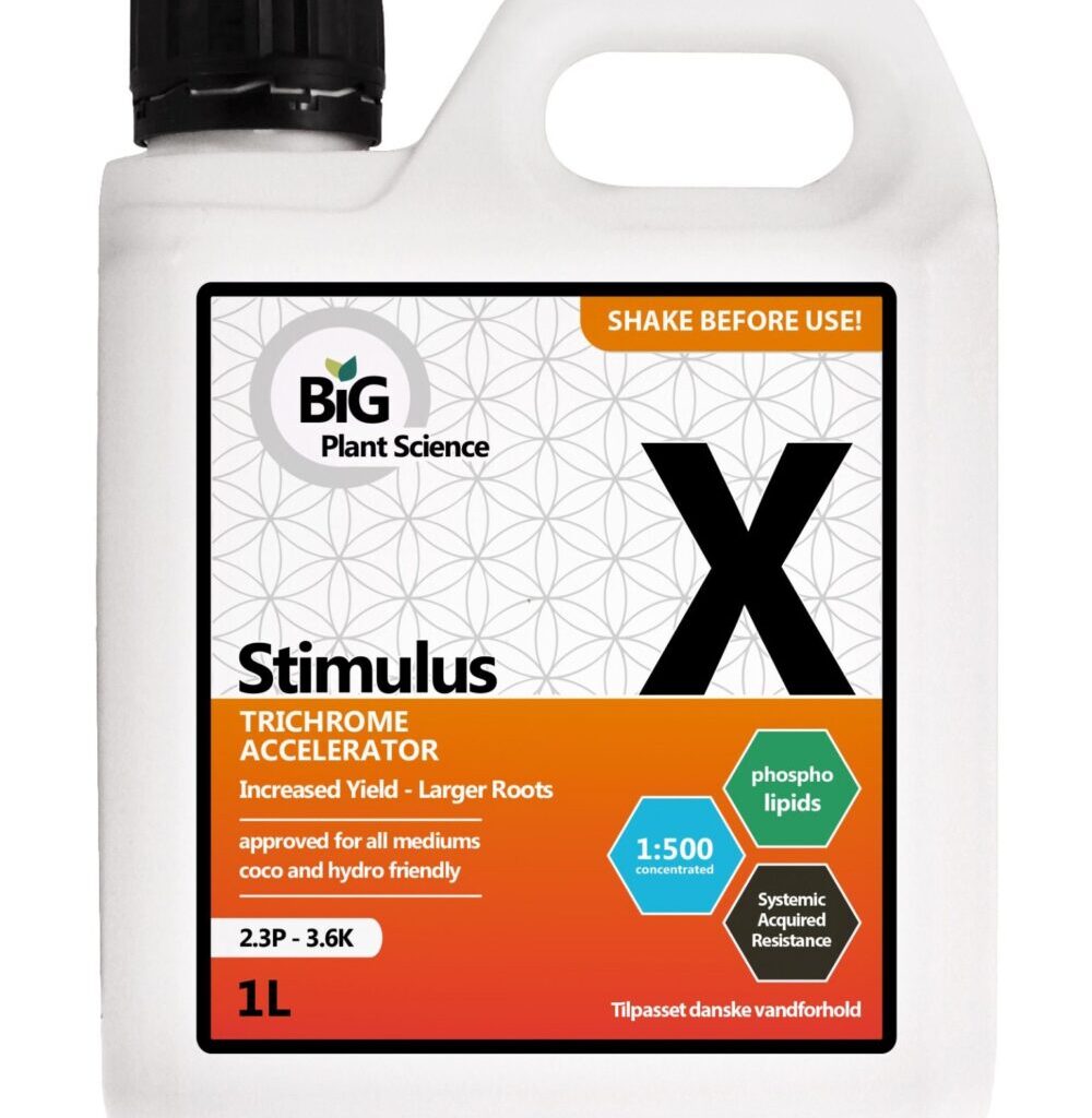 STIMULUS 1L