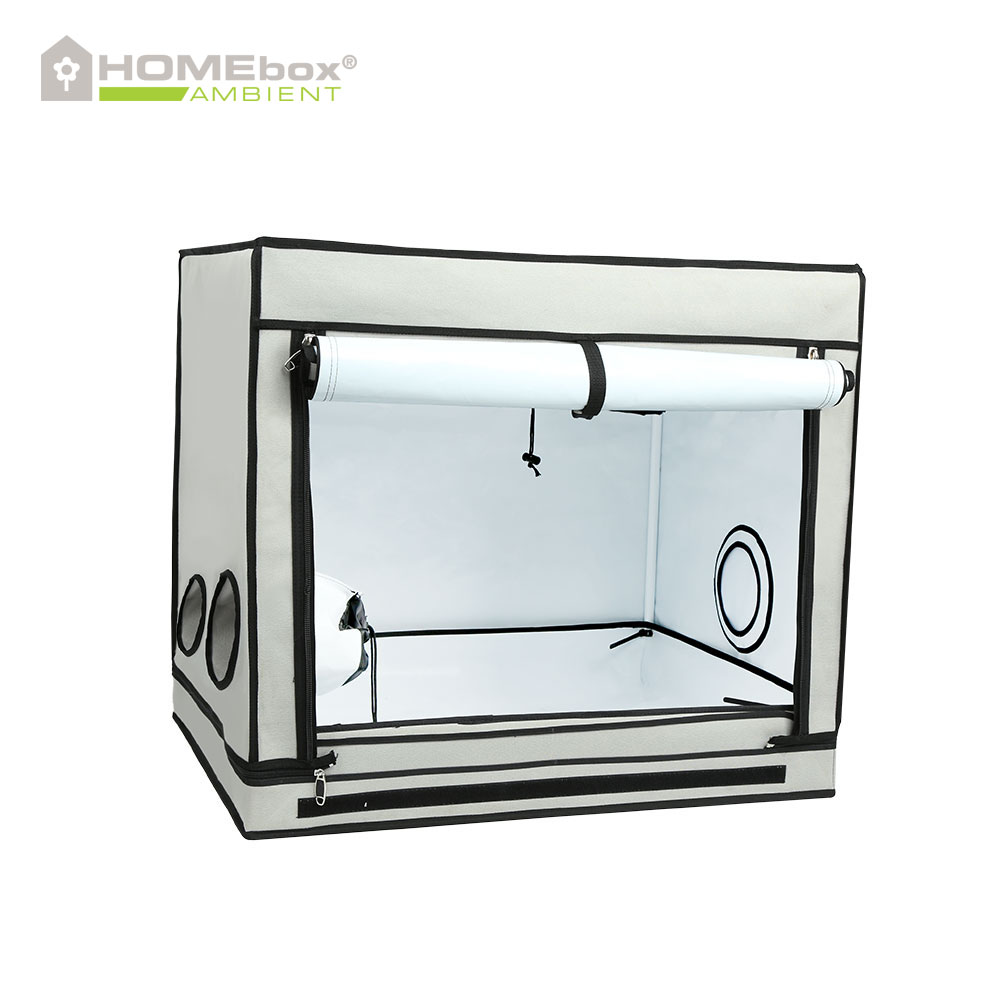 HOMEbox Ambient R80S – 80x60x70 cm