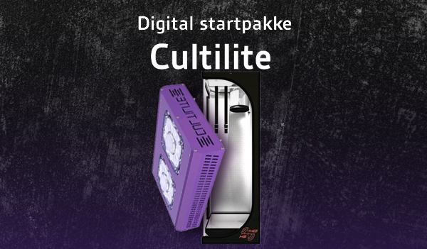 LED-startpakke Cultlite Antares 180w