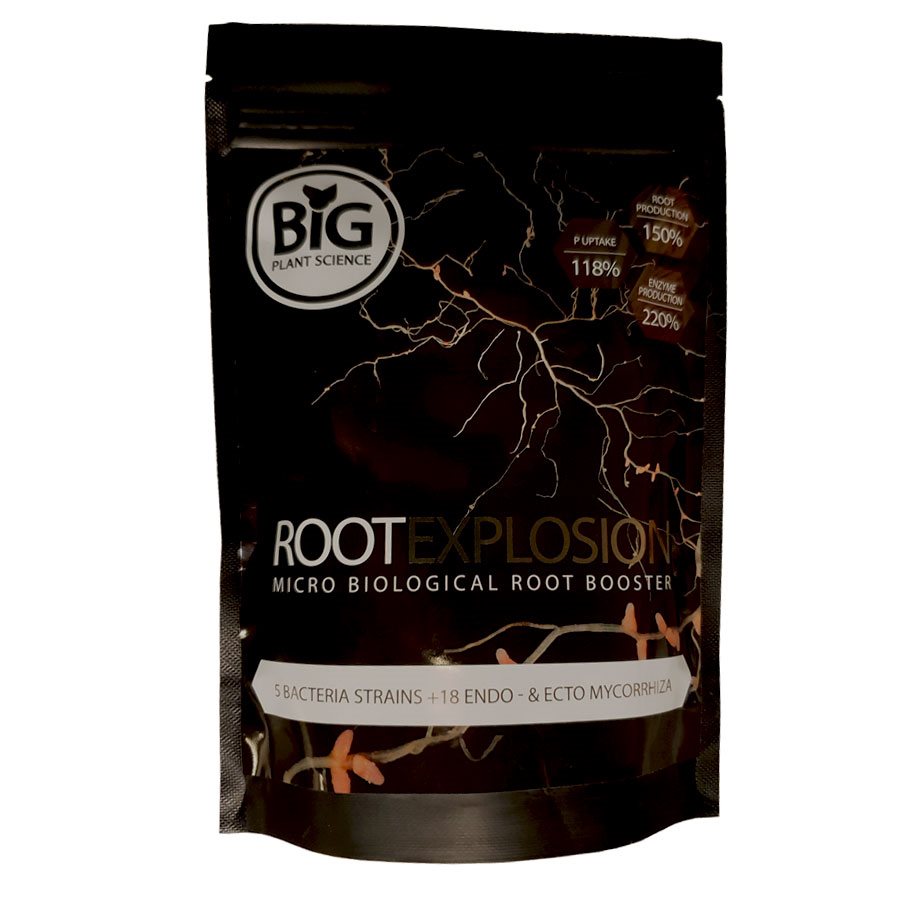 ROOT EXPLOSION – Big Plant Sceince