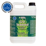 g.o.seaweed