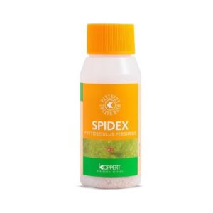spidex-nyttedyr-spindemider-grolys