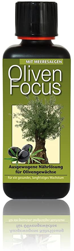 Oliven fokus – 1l