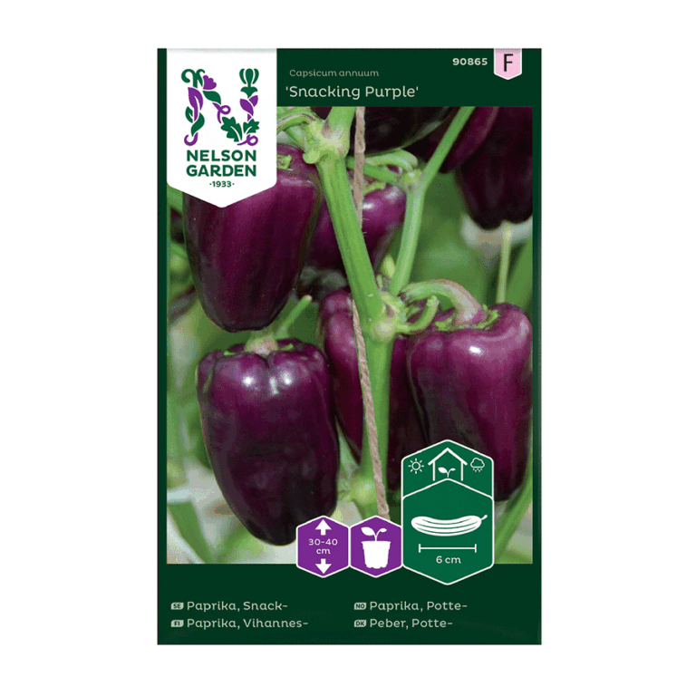 90865_pepper_sweet_snacking_purple_image_1