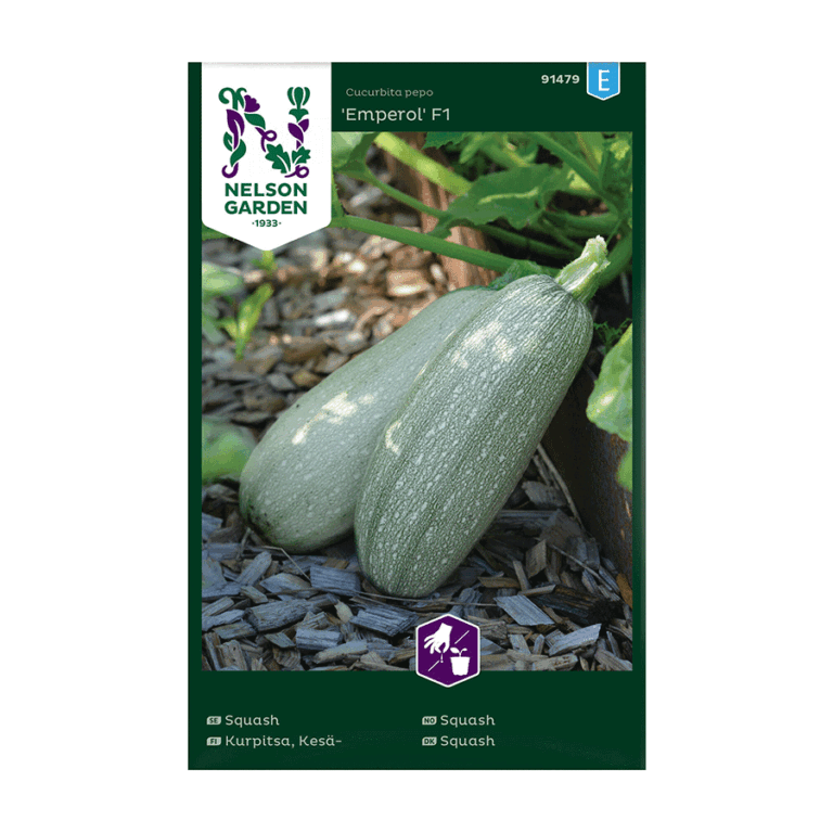 91479_courgette_emperol_f1_image_1