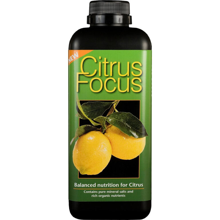 citrus-focus-1l_large