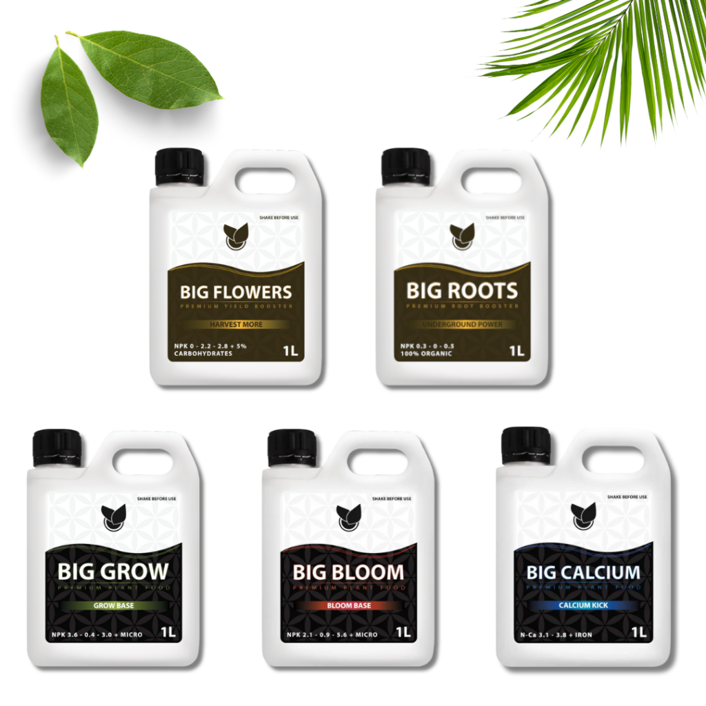 Komplet Basic Kit  - Big Plant Science