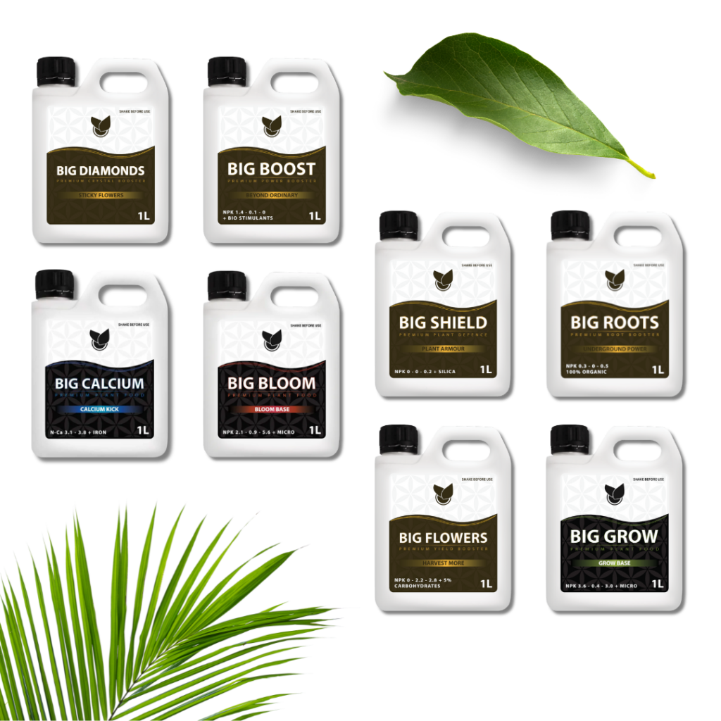 Komplet Premium Kit  - Big Plant Science